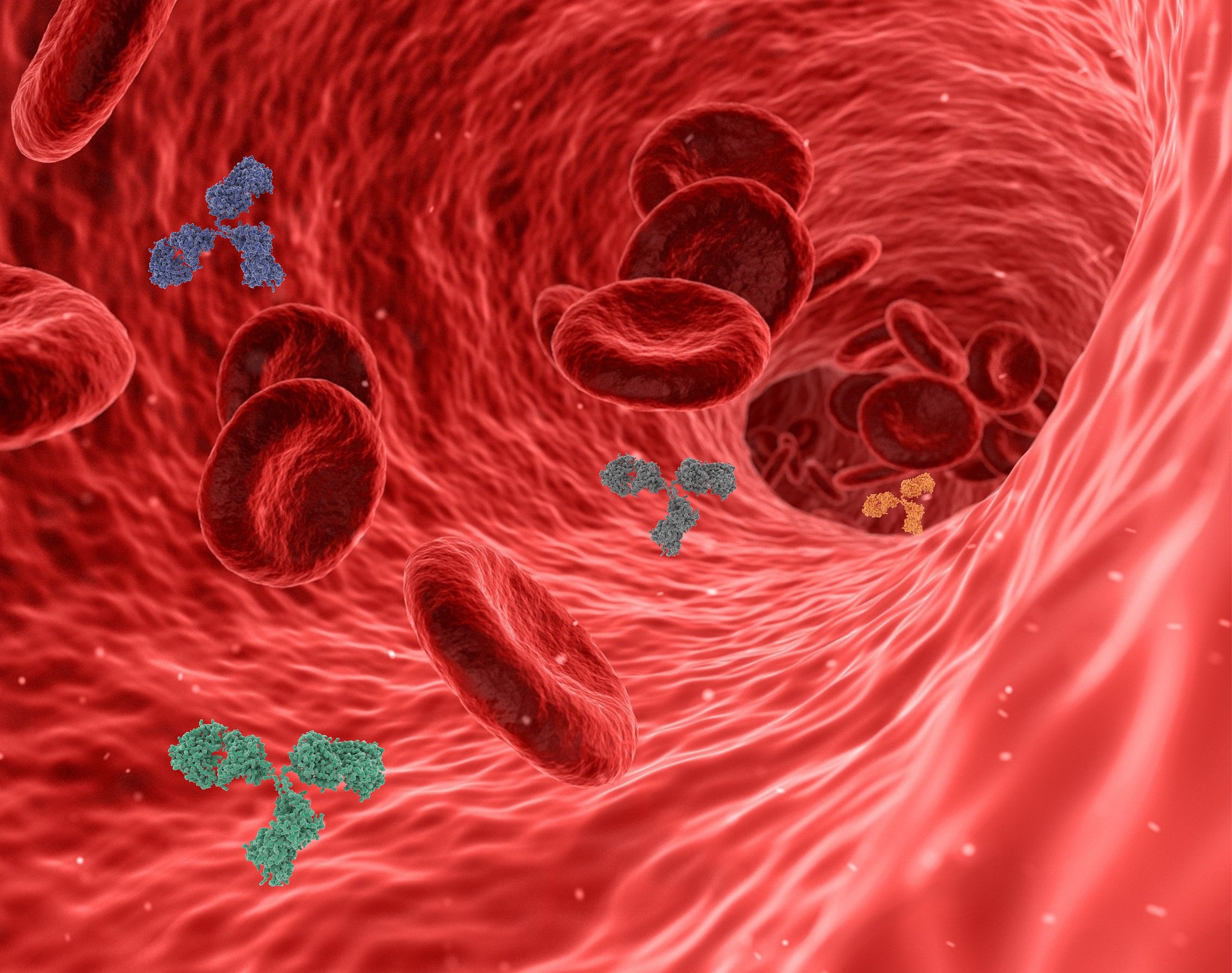 virus-5741636_1920